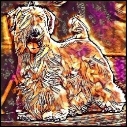 Picture of Sealyham Terrier-Hipster Mug