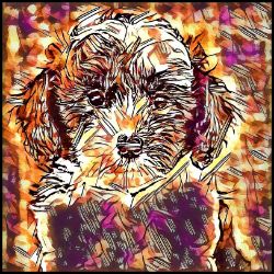 Picture of Sheepadoodle-Hipster Mug