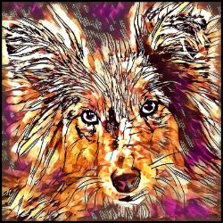 Picture of Shetland Sheepdog-Hipster Mug