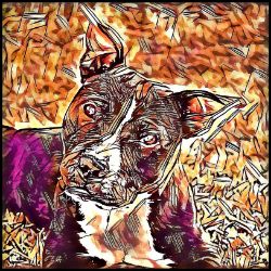 Picture of Staffordshire Bull Terrier-Hipster Mug