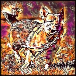 Picture of Swedish Vallhund-Hipster Mug