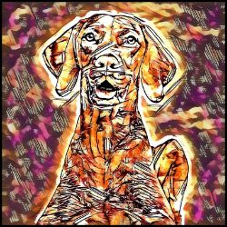 Picture of Vizsla-Hipster Mug