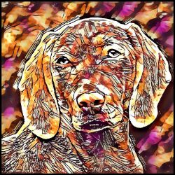 Picture of Weimaraner-Hipster Mug