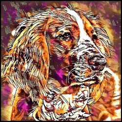 Picture of Welsh Springer Spaniel-Hipster Mug