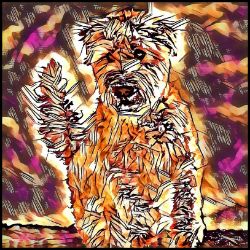 Picture of Wheaten Terrier-Hipster Mug