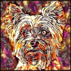 Picture of Yorkshire Terrier-Hipster Mug