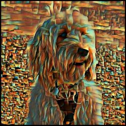 Picture of Cockapoo-Cool Cubist Mug