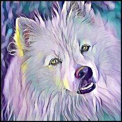 Picture of American Eskimo-Lavender Ice Mug
