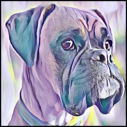 Picture of Boxer-Lavender Ice Mug