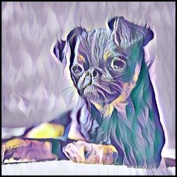 Picture of Brussels Griffon-Lavender Ice Mug