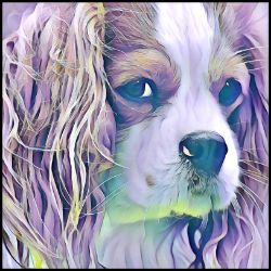 Picture of Cavalier King Charles Spaniel-Lavender Ice Mug