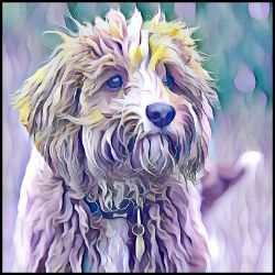 Picture of Cavapoo-Lavender Ice Mug