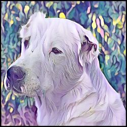 Picture of Central Asian Shepherd Dog-Lavender Ice Mug