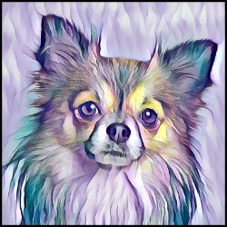 Picture of Chihuahua Long Hair-Lavender Ice Mug