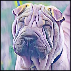 Picture of Chinese Shar Pei-Lavender Ice Mug