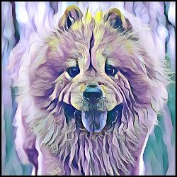 Picture of Chow Chow-Lavender Ice Mug