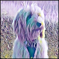 Picture of Cockapoo-Lavender Ice Mug