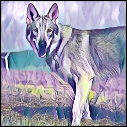 Picture of Czechoslovakian Vilocak-Lavender Ice Mug