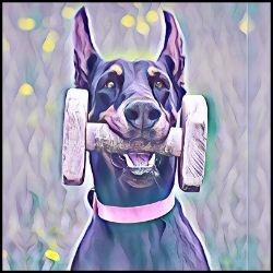 Picture of Doberman-Lavender Ice Mug