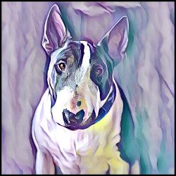 Picture of English Bull Terrier-Lavender Ice Mug