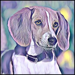 Picture of English Foxhound-Lavender Ice Mug