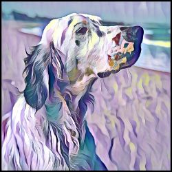 Picture of English Setter-Lavender Ice Mug