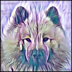 Picture of Eurasier-Lavender Ice Mug