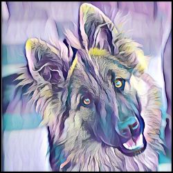 Picture of German Shepherd-Lavender Ice Mug