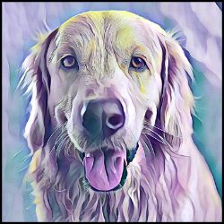 Picture of Golden Retriever-Lavender Ice Mug