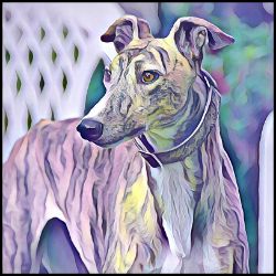 Picture of Greyhound-Lavender Ice Mug