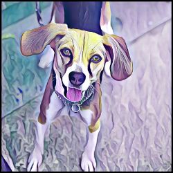 Picture of Harrier-Lavender Ice Mug