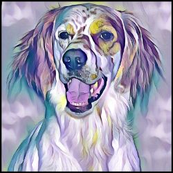 Picture of Irish Red and White Setter-Lavender Ice Mug