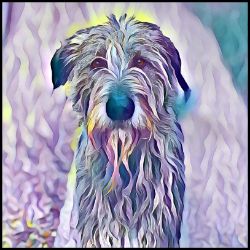 Picture of Irish Wolfhound-Lavender Ice Mug