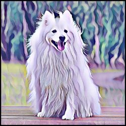 Picture of Japanese Spitz-Lavender Ice Mug