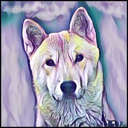 Picture of Jindo-Lavender Ice Mug