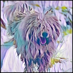 Picture of Komondor-Lavender Ice Mug