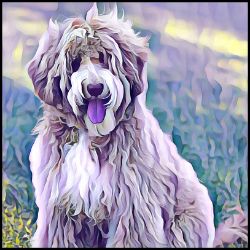 Picture of Labradoodle-Lavender Ice Mug