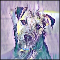 Picture of Lakeland Terrier-Lavender Ice Mug