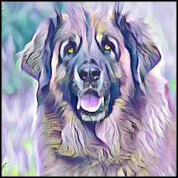 Picture of Leonberger-Lavender Ice Mug