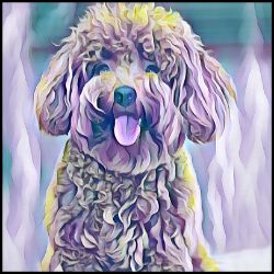 Picture of Miniature Poodle-Lavender Ice Mug