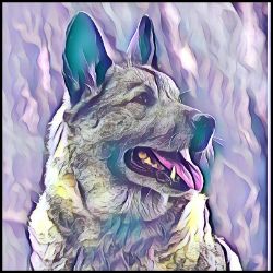 Picture of Norwegian Elkhound-Lavender Ice Mug