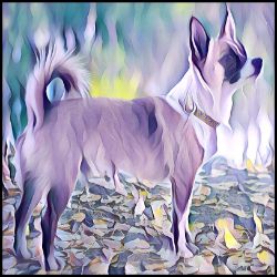 Picture of Norwegian Lundehund-Lavender Ice Mug