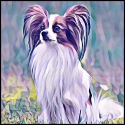 Picture of Papillon-Lavender Ice Mug