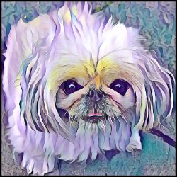 Picture of Pekingese-Lavender Ice Mug