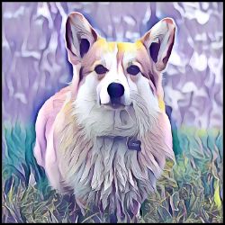 Picture of Pembroke Welsh Corgi-Lavender Ice Mug