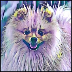 Picture of Pomeranian-Lavender Ice Mug
