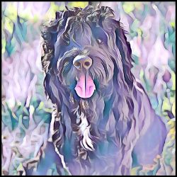 Picture of Portuguese Water Dog-Lavender Ice Mug