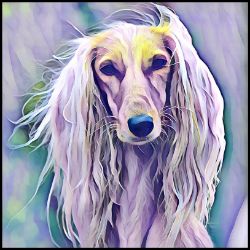 Picture of Saluki-Lavender Ice Mug