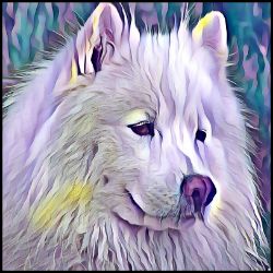 Picture of Samoyed-Lavender Ice Mug