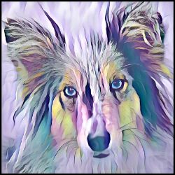 Picture of Shetland Sheepdog-Lavender Ice Mug
